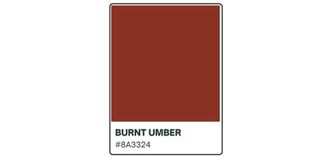 The Warmth and Depth of Burnt Umber: A Guide to this Earthy Hue | HipFonts