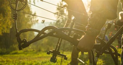 The Best Compound Bow Brands - Archery for Beginners