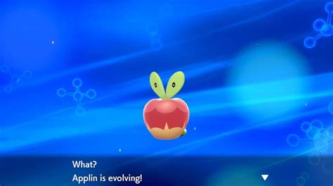 Pokemon Shield Applin Location, How to Evolve Tips