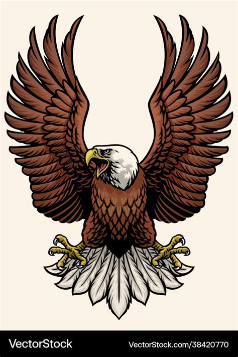 Angry bald eagle in hand drawn style Royalty Free Vector