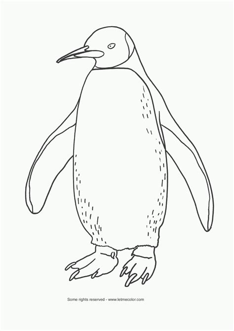 Funny Penguin Coloring Pages Collections 2011