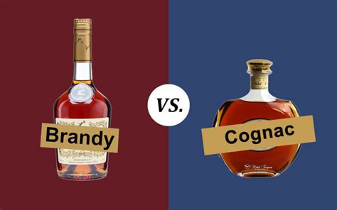 Cognac vs. Brandy: They Are NOT the Same Thing! 5 Differences