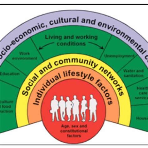 Dahlgren and Whitehead Model of the Determinants of Health | Download Scientific Diagram