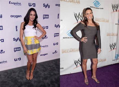 Brie Bella vs Stephanie McMahon SummerSlam 2014 - Two Potential Swerves ...