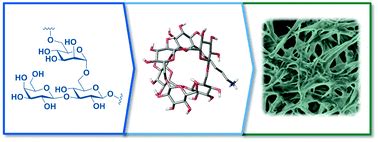 Materials science based on synthetic polysaccharides - Materials ...