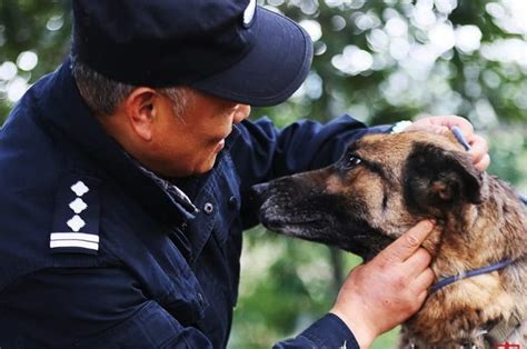 Chinese Cop Makes A Special Nursing Home For Retired Police Dogs | Real News 24: Breaking ...