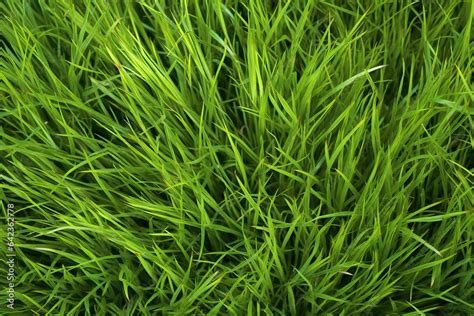 green sport grass football background texture football grass texture ...