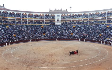 Bullfighting in Madrid, Spain image - Free stock photo - Public Domain ...