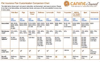 Pet Insurance Comparison Charts (2023): Compare Quotes, Plans, Coverage, Waiting Periods & More