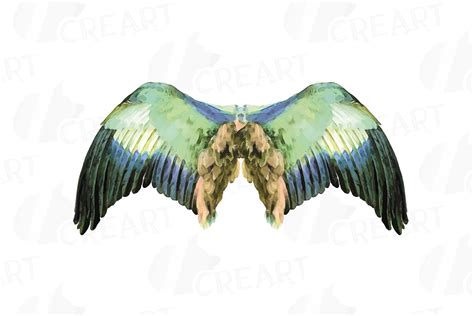 Watercolor wings clip art collection, colorful bird wings (209686 ...