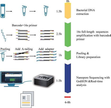 Nanopore Takes Over 16s Rrna Gene Amplicon Sequencing | Free Download ...