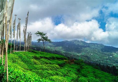 Dooars Tour Packages From Siliguri - Siliguri To Dooars Holiday Packages