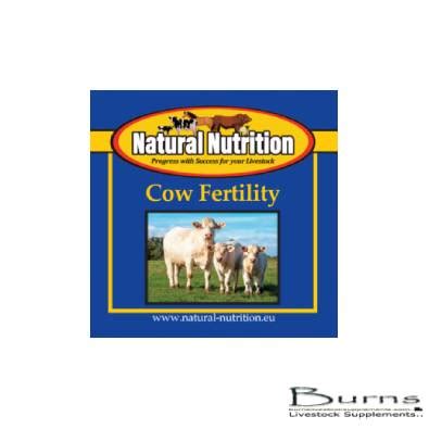 Cow fertility drench | Burns Livestock Supplements