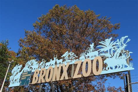 Bronx Zoo Sign | Bronx zoo, Zoo, Bronx