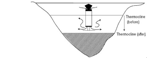 Schematic diagram showing the mixing of the water column in Halsjärvi ...