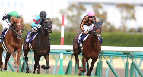 Is Horse Racing Dead? Not in Japan - A Game of Skill