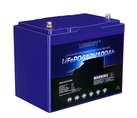 Buy 12V 100Ah LiFePO4 Battery, 1280Wh Deep Cycle Lithium, Built-in 50A ...