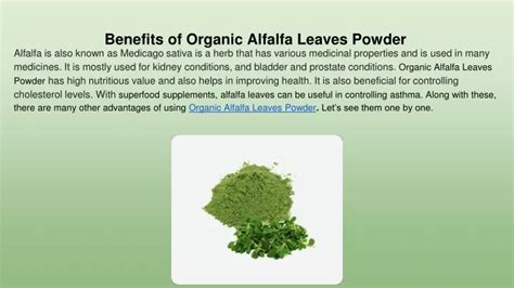 PPT - Benefits of Organic Alfalfa Leaves Powder PowerPoint Presentation - ID:11510393