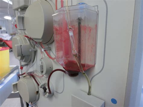 Plasma donation requirements | General center | SteadyHealth.com