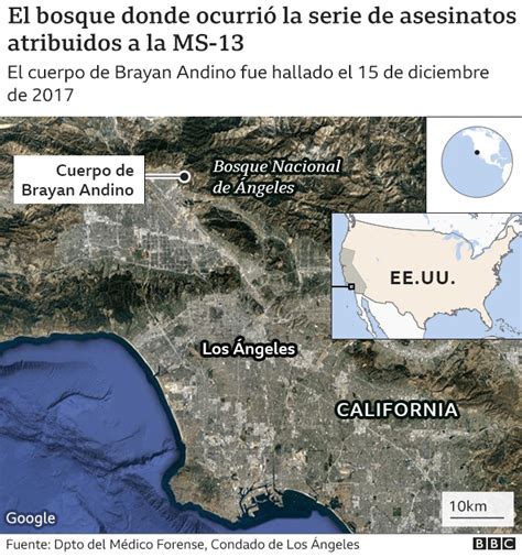 Investigación: por qué la Mara Salvatrucha, aunque se llame igual, no ...