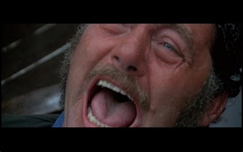 Robert Shaw's terrifying screams replaced John Williams proposed score for Quint's death in Jaws ...