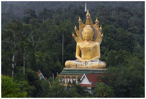 Phuket Temples | The Phuket Blog