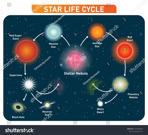 931 imágenes de Life cycle of star - Imágenes, fotos y vectores de ...