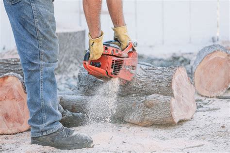 Best Tree Removal Company: Should You Ditch Your DIY Tree Work? 2142336920