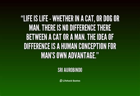 Sri Aurobindo Quotes. QuotesGram