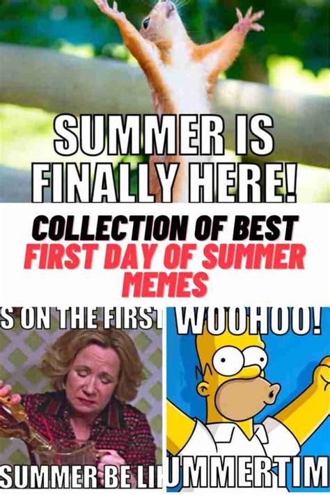 Collection of Best First Day of Summer Memes 2023