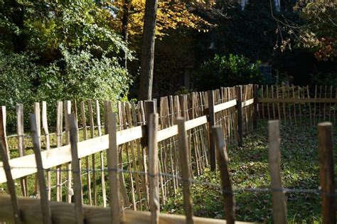 Temporary Garden Fencing: Everything You Need To Know | TTFS