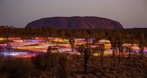 Best time to see the Field of Lights Uluru - Australian Adventure Travel