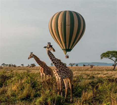Experience Magnificence Of African Wilderness Through Serengeti Balloon Safaris – Youth Adventures