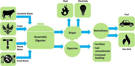 Biomass: The Benefits of Anaerobic Digesters - ResourceKraft