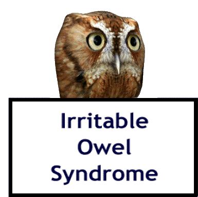 Irritable Owel Syndrome Ios Sticker - Irritable Owel Syndrome Ios Bugger Off - Discover & Share GIFs
