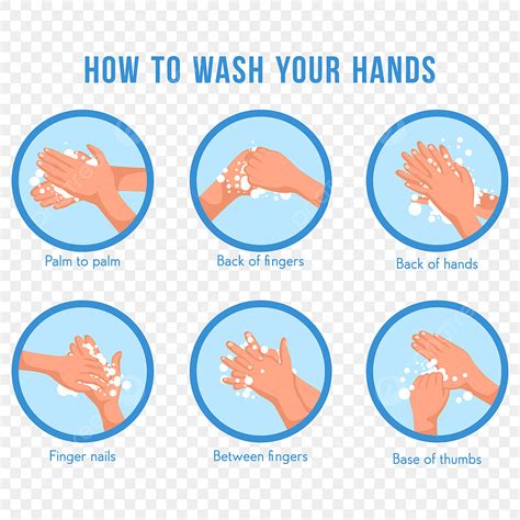 Hand Washing Steps Vector Design Images, Hands Washing Step By Step To Protect From Coronavirus ...