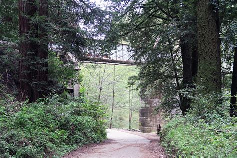 Henry Cowell Redwoods State Park hiking trails – Bay Area Fashionista