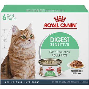 Royal Canin Digest Sensitive Thin Slices in Gravy Canned Cat Food Review 2023 - Pet Food Sherpa