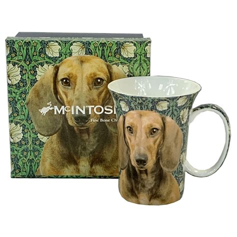 Dachshund Dog Mug | The Gallery Upstairs | Buy Now