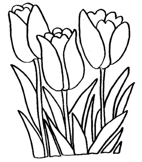 Large Printable Tulips - ClipArt Best