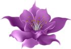 Purple Flower Transparent Clip Art Image | Gallery Yopriceville - High-Quality Free Images and ...