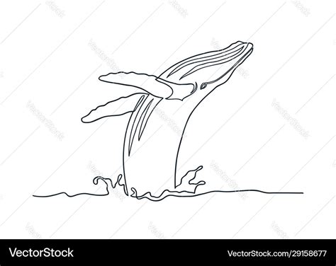 Breaching humpback whale line art Royalty Free Vector Image