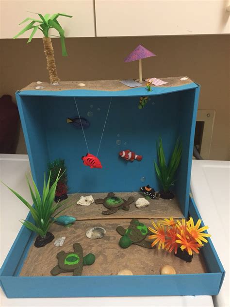 Coral Reef diorama w/ loggerhead turtles | Diorama kids, Animal crafts for kids, Habitats projects