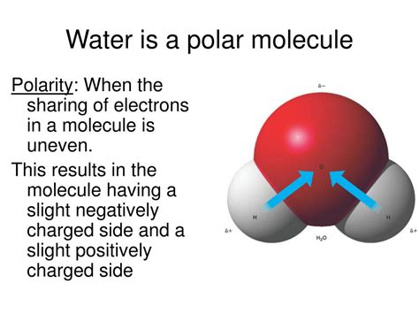 PPT - Chemistry of Life PowerPoint Presentation, free download - ID:4611476