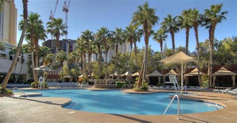 Treasure Island Pool | Las Vegas, NV