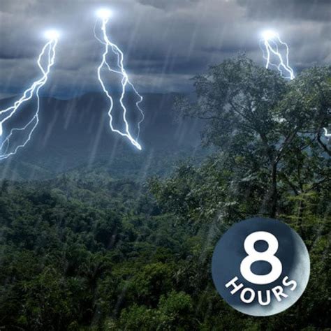 "Relaxing White Noise" Rainforest Thunder & Rain Sleep Sounds 8 Hours - White Noise (Podcast ...