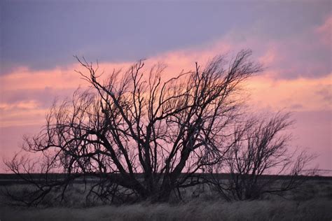 Hobbs, New Mexico, 2019 | Voyagewriter | Flickr