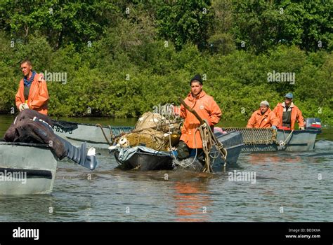 Kamchatka salmon fishing fishermen hi-res stock photography and images ...