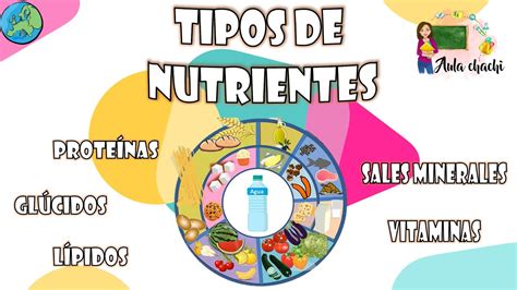 Clasificacion De Los Nutrientes Para NiÃ±os - Dinami