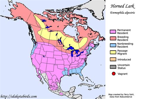 Horned Lark - Species Range Map